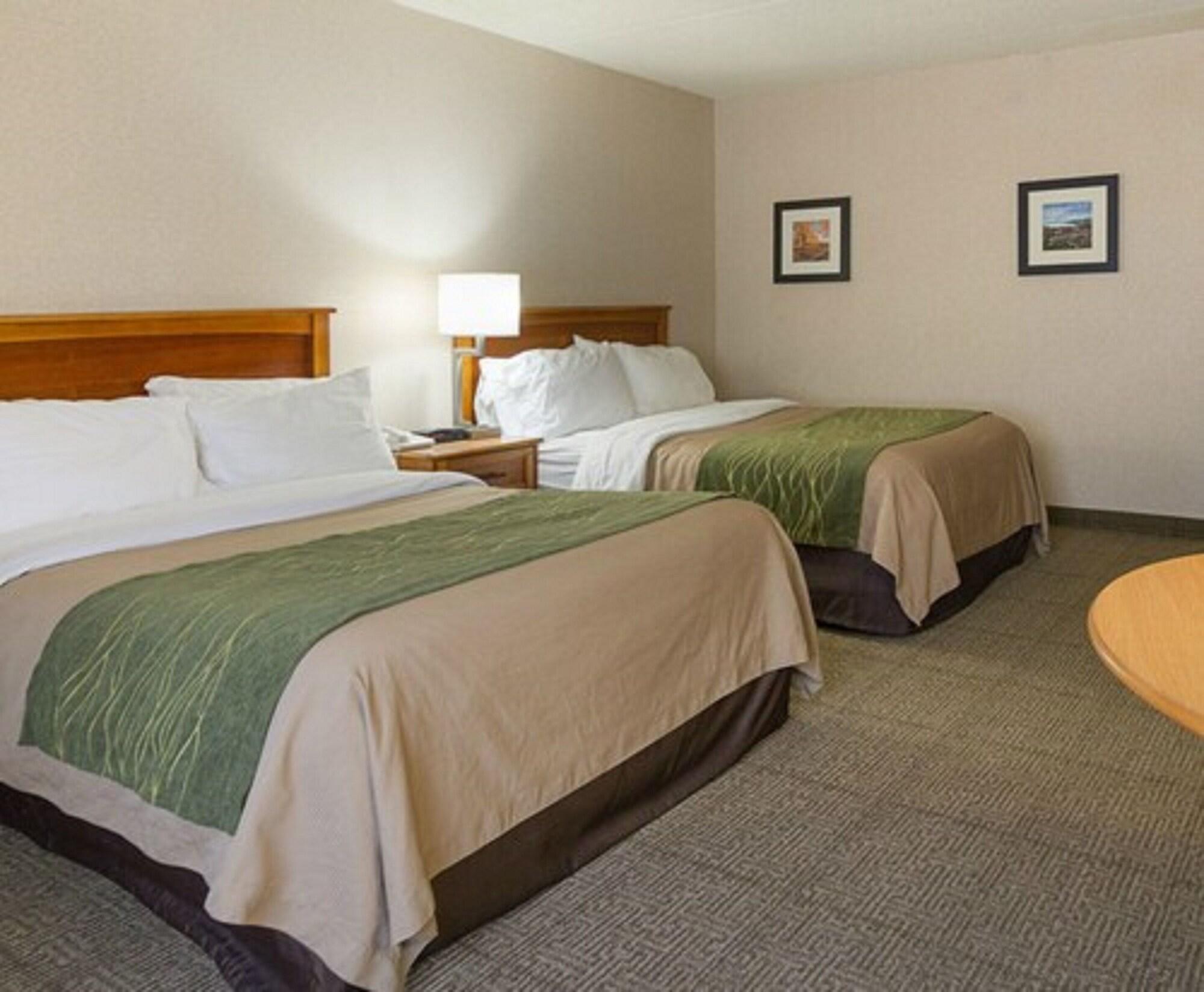 Comfort Inn & Suites Syracuse-Carrier Circle Восток Сиракьюс Экстерьер фото