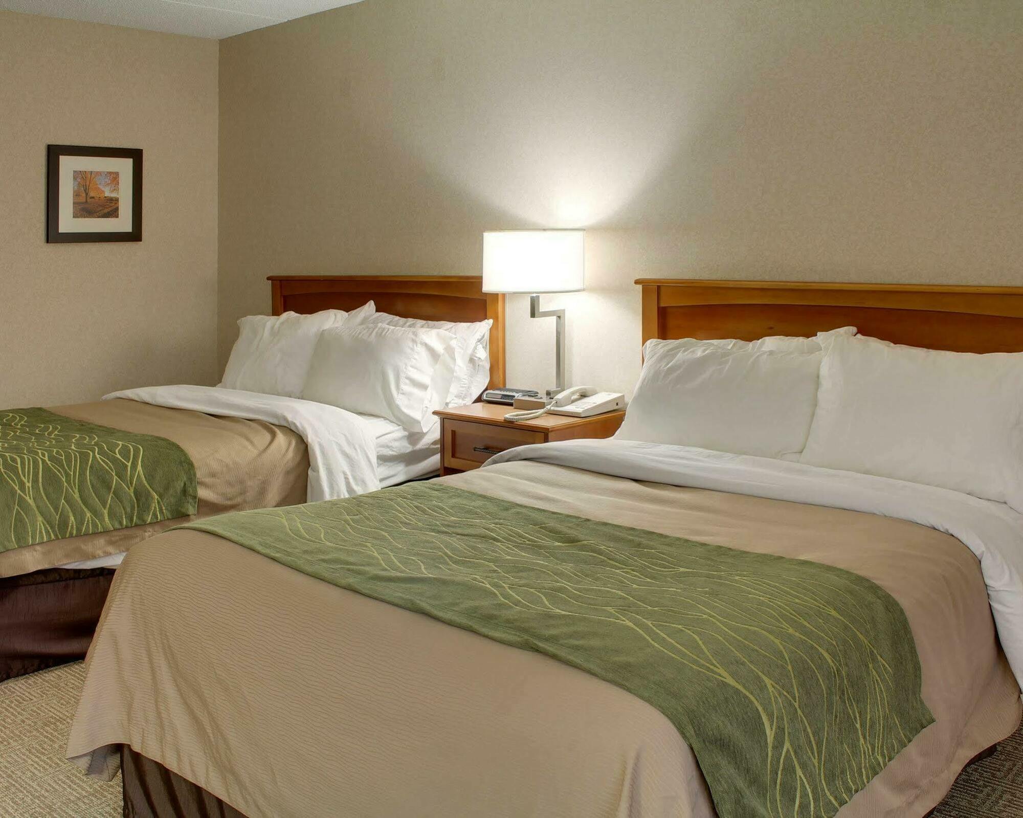 Comfort Inn & Suites Syracuse-Carrier Circle Восток Сиракьюс Экстерьер фото